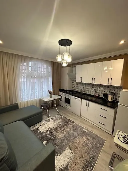 Yeni , Merkezi , Galata'Da #2 Istanbul Apartment
