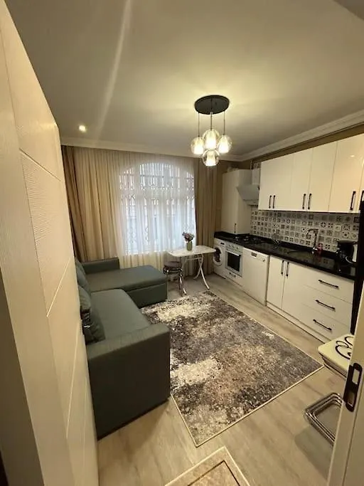 Apartment Yeni , Merkezi , Galata'Da #2 Istanbul Turkey